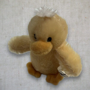 duck toy