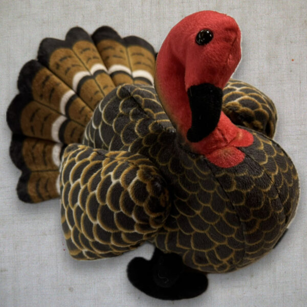 Turkey Toy